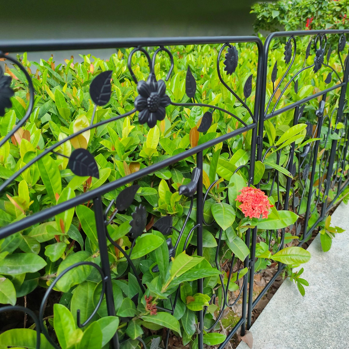5 Pack Metal Border Folding Garden Fence Panels Easy Assembly