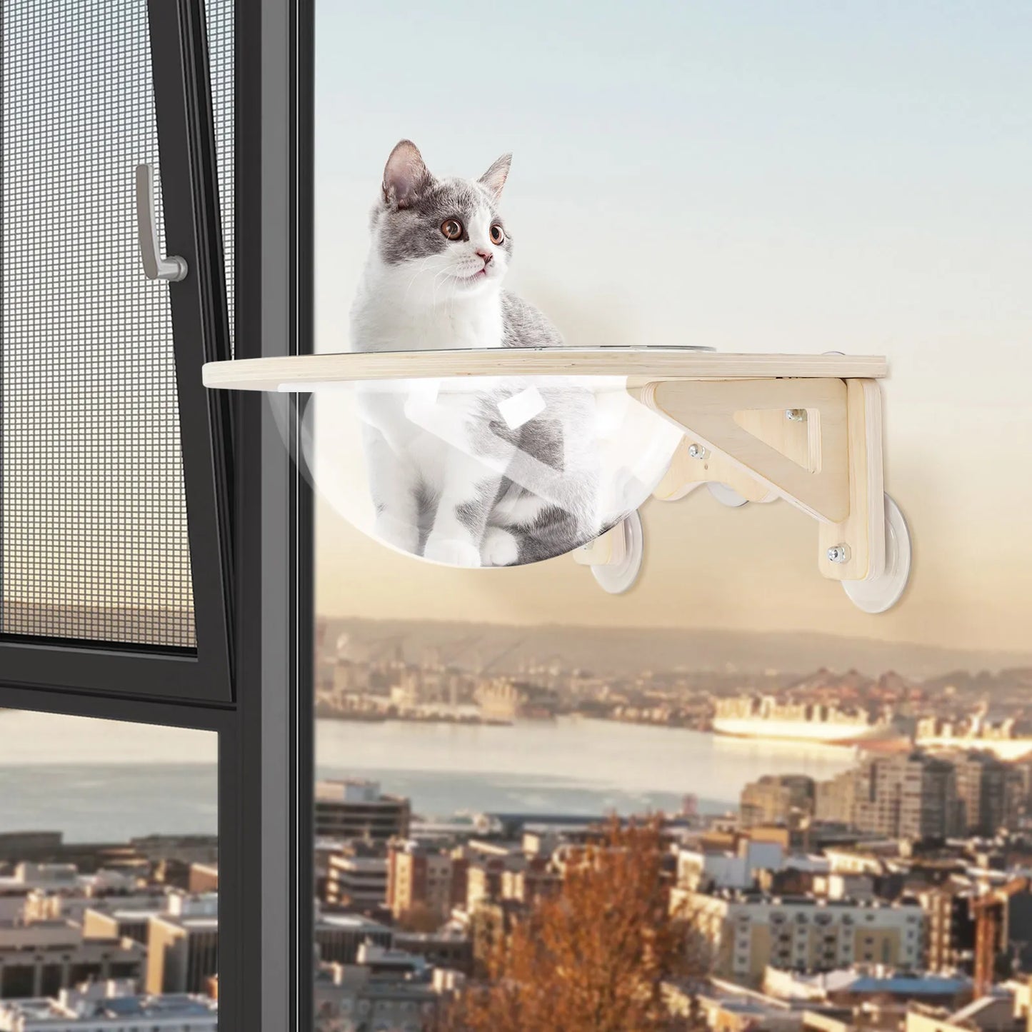 Clear Wall Mounted Cat Space Capsule Bed for Modern Home