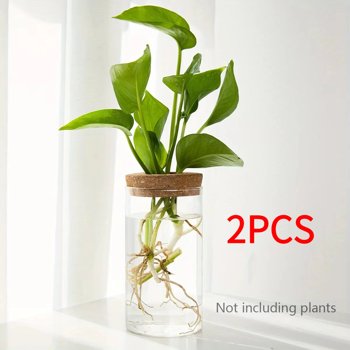 Glass Hydroponics Planter Vase For Home Decoration And Propagation