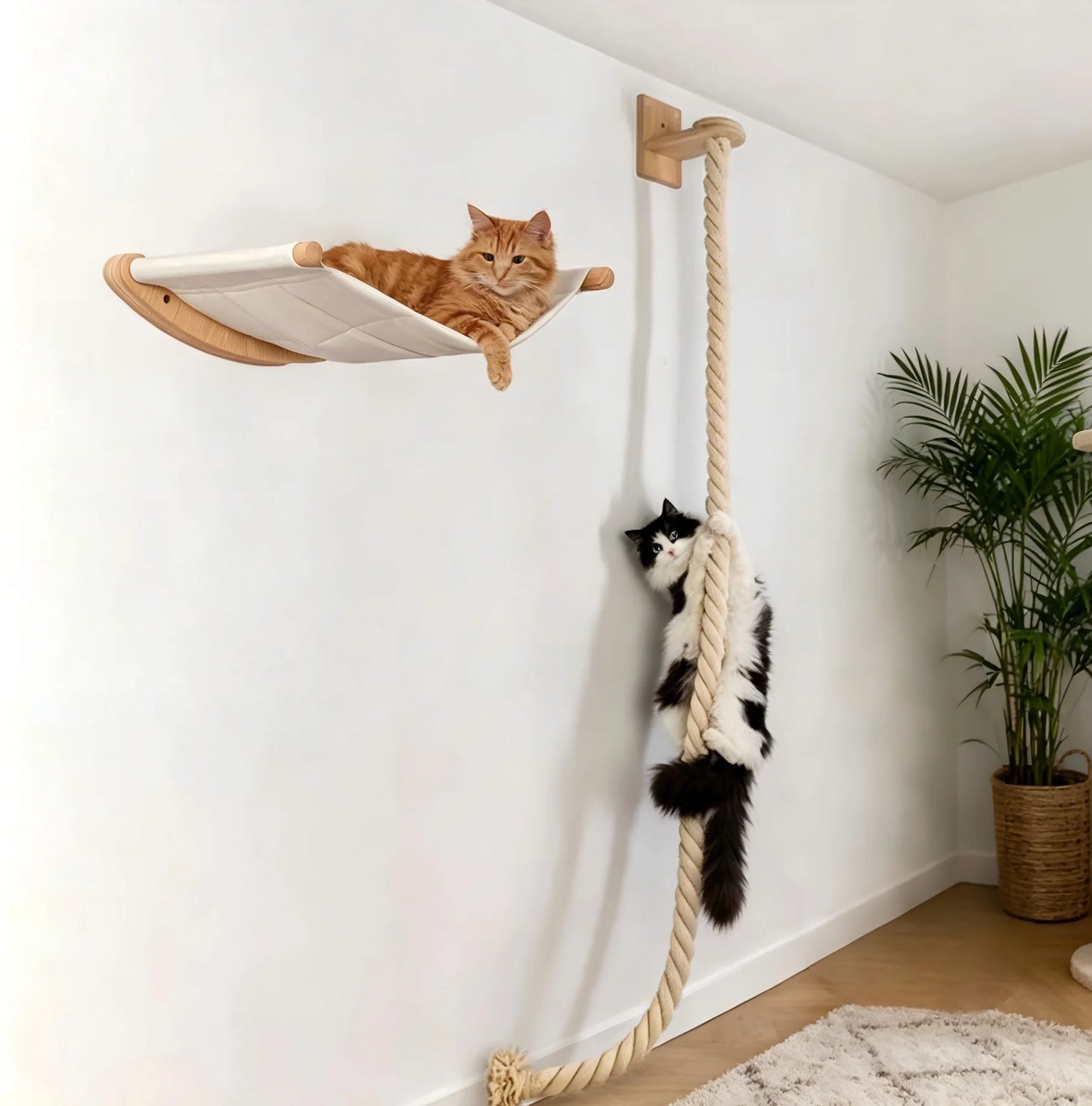 CWV Wall Mounted Cat Hammock Kit With Multi Level Perches