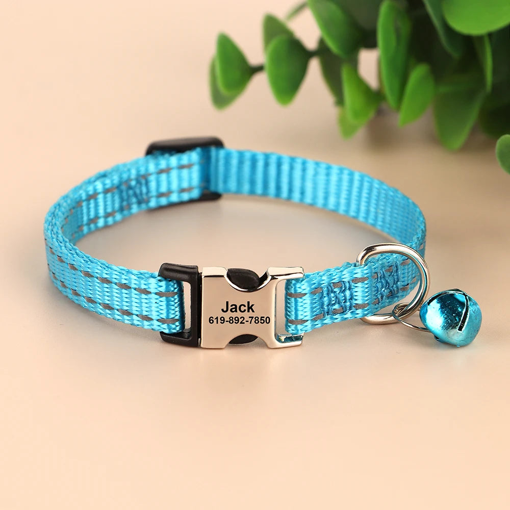 Free Personalized Kitten Collar Engraved With Name