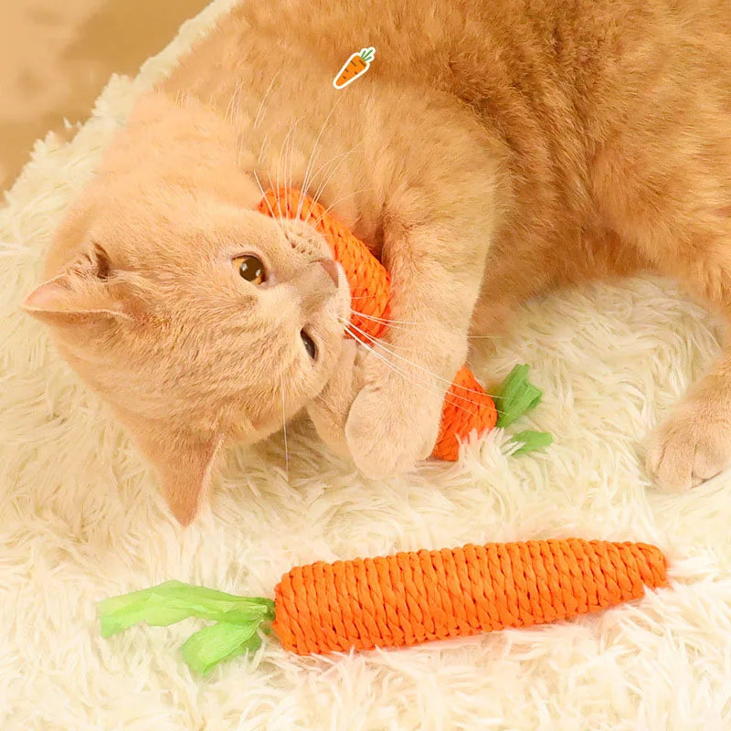 Pet Chew Toys For Rabbits Hamsters Guinea Pigs Teeth Cleaning