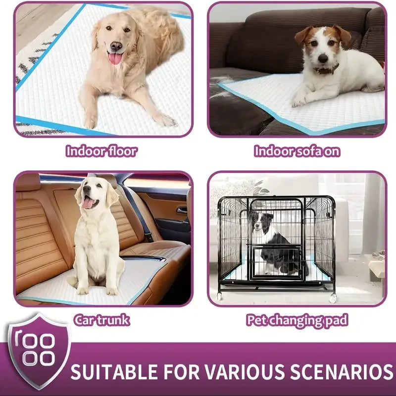 Premium Disposable Dog Training Pads With Superior Absorbency