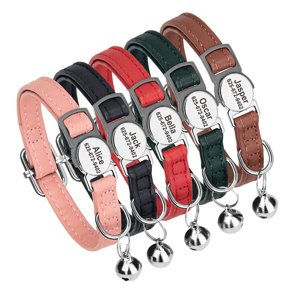 Free Personalized Kitten Collar Engraved With Name