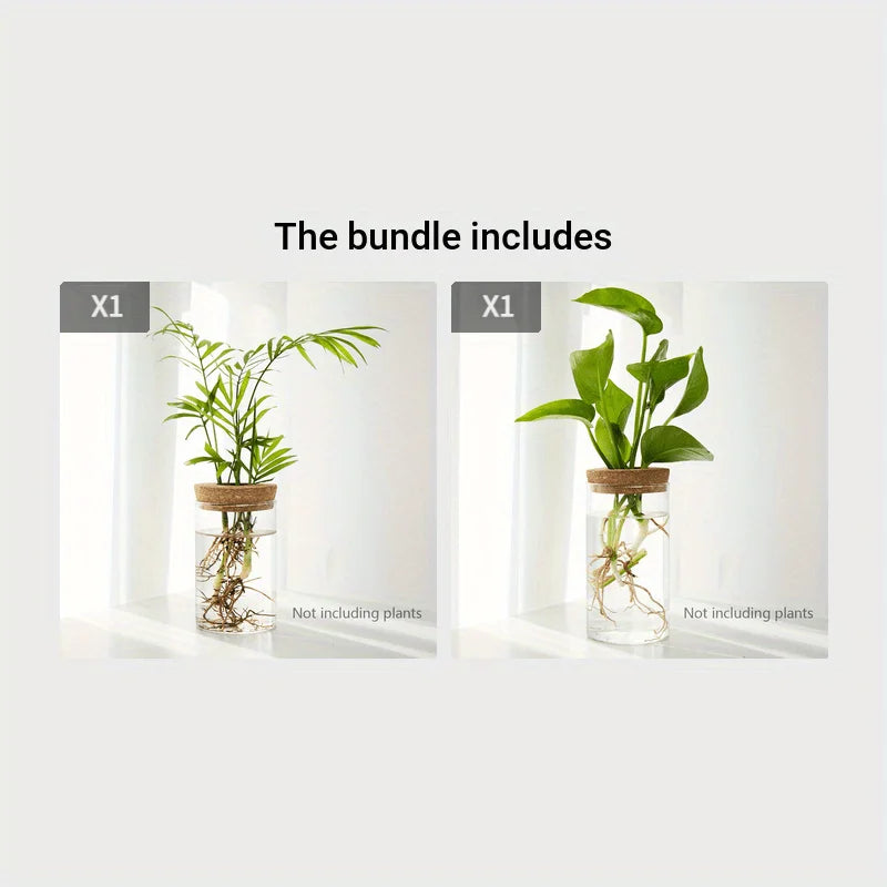 Glass Hydroponics Planter Vase For Home Decoration And Propagation