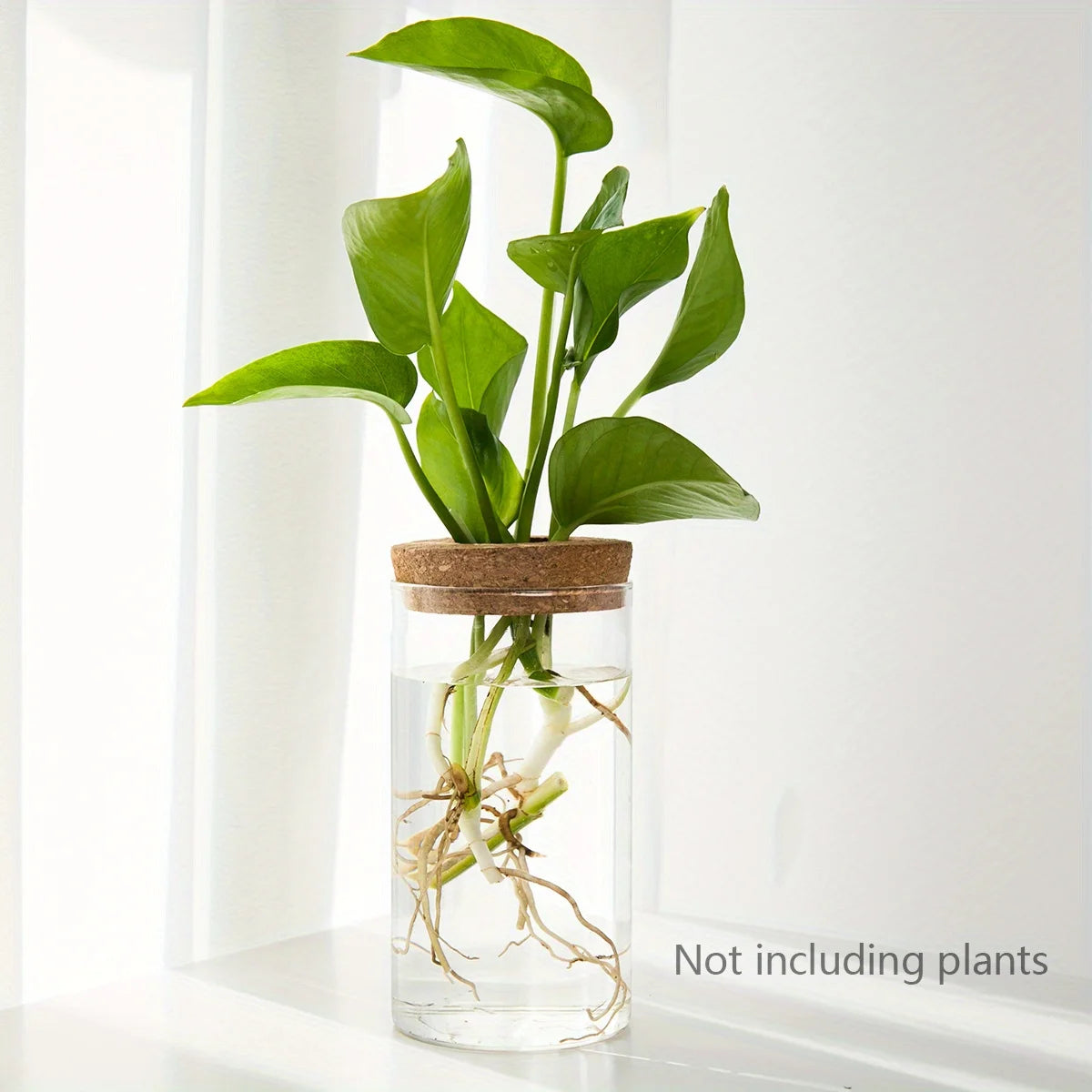 Glass Hydroponics Planter Vase For Home Decoration And Propagation