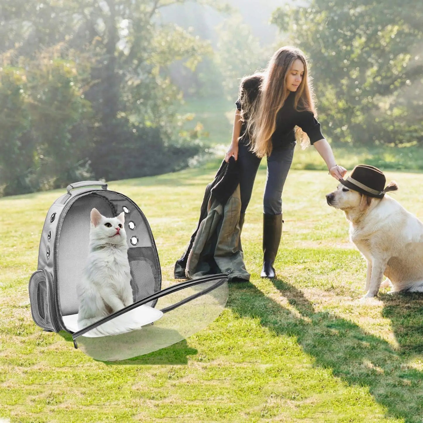 Henkelion Bubble Carrying Bag For Small Pets Airline Carrier