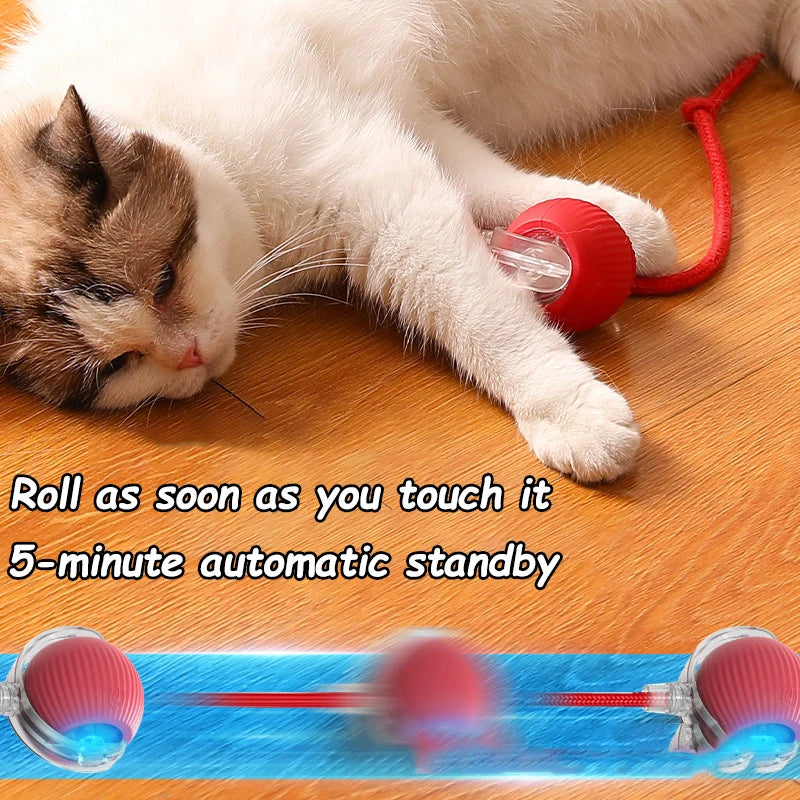 Cat Interactive Ball Toy Automatic Rolling Ball Pet Training Device