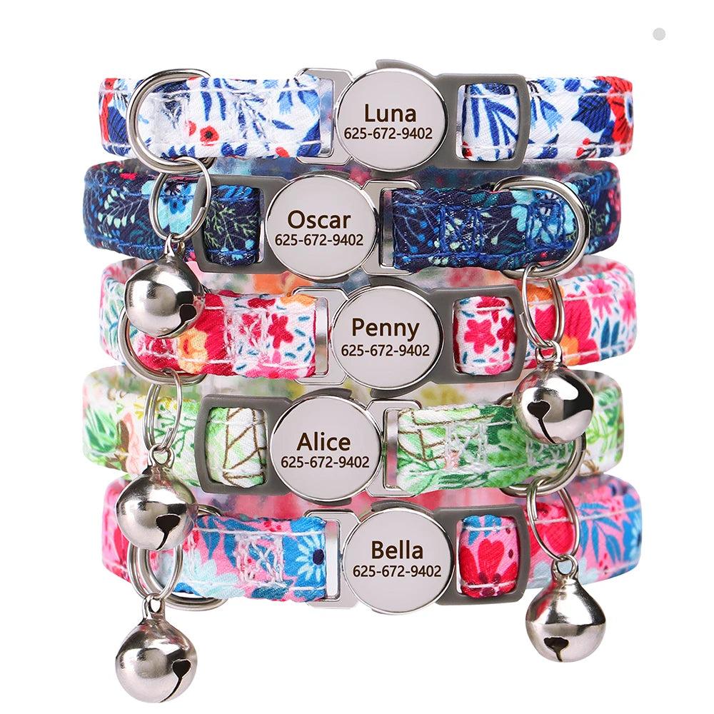 Free Personalized Kitten Collar Engraved With Name