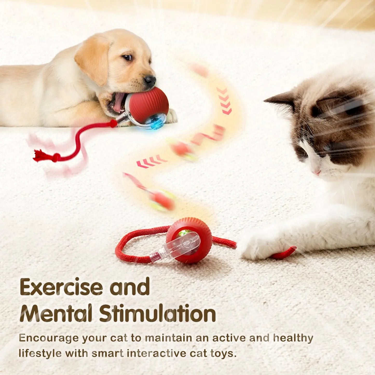 Interactive Cat Ball Toy Automatic Rolling Ball With Tail Rechargeable