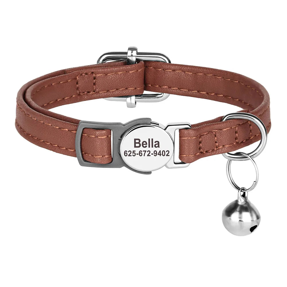 Free Personalized Kitten Collar Engraved With Name