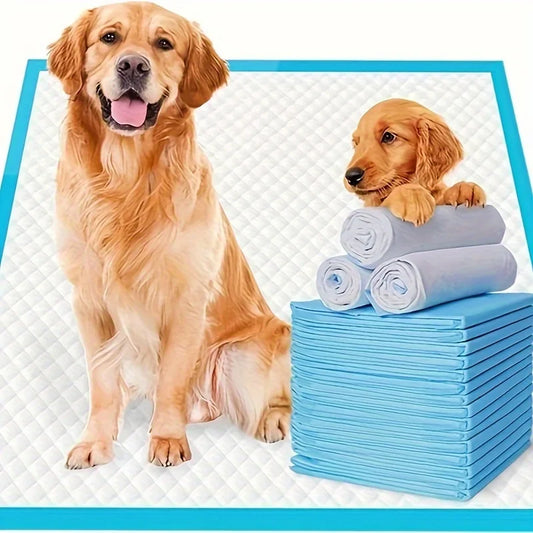 Premium Disposable Dog Training Pads Superior Absorption And Leak Proof