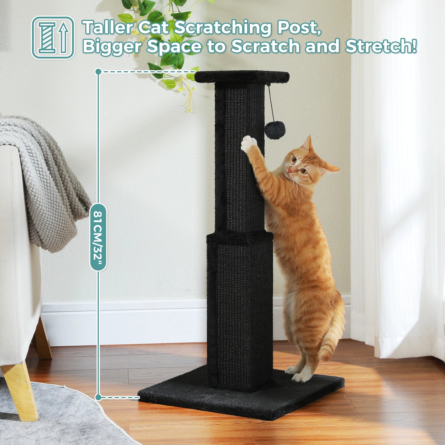 PAWZ Road Large Indoor Cat Scratching Post With Dangling Ball