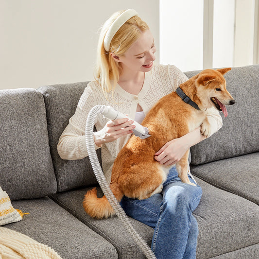 JHK 2.5L Pet Grooming Vacuum Kit With Cordless Low Noise Clippers