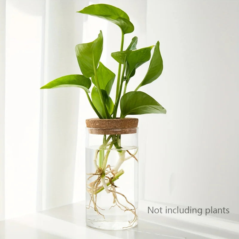 Glass Hydroponics Planter Vase For Home Decoration And Propagation