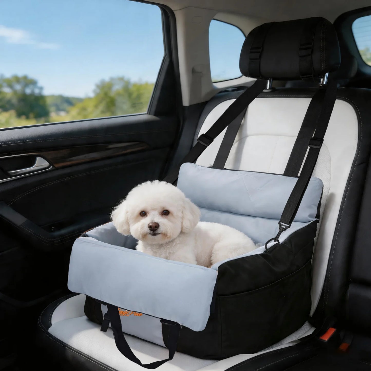 BINGOPAW Dog Car Seat Booster Carrier With Safety Belt