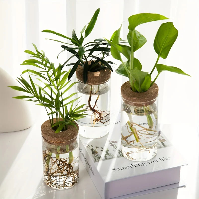 Glass Hydroponics Planter Vase For Home Decoration And Propagation