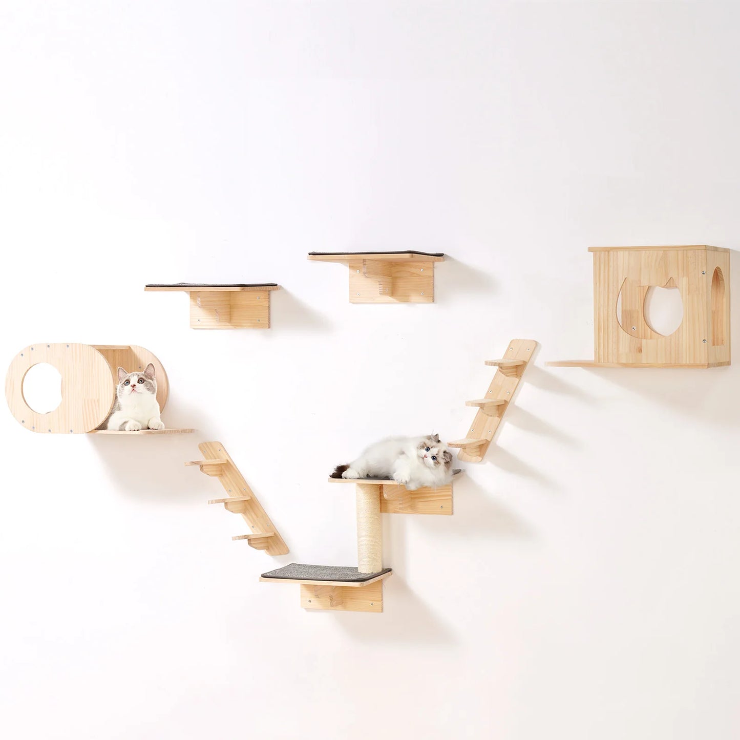 SucceBuy Double Tier Wall Mounted Cat Shelves and Perches
