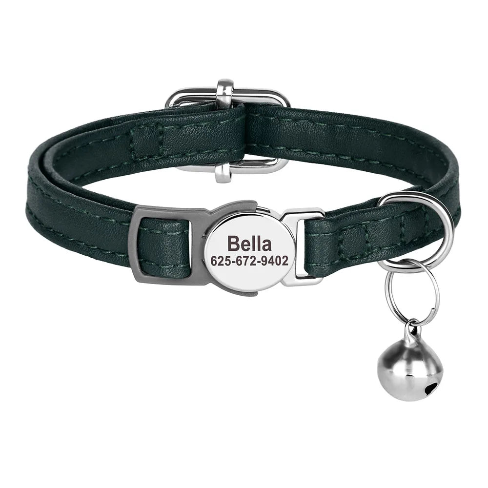 Free Personalized Kitten Collar Engraved With Name