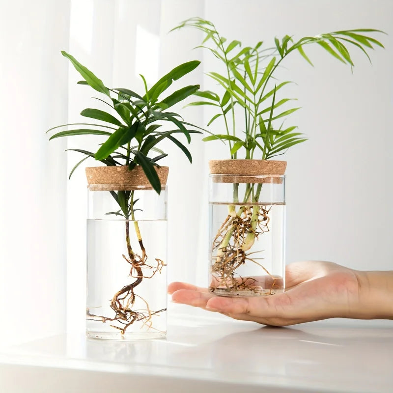 Glass Hydroponics Planter Vase For Home Decoration And Propagation