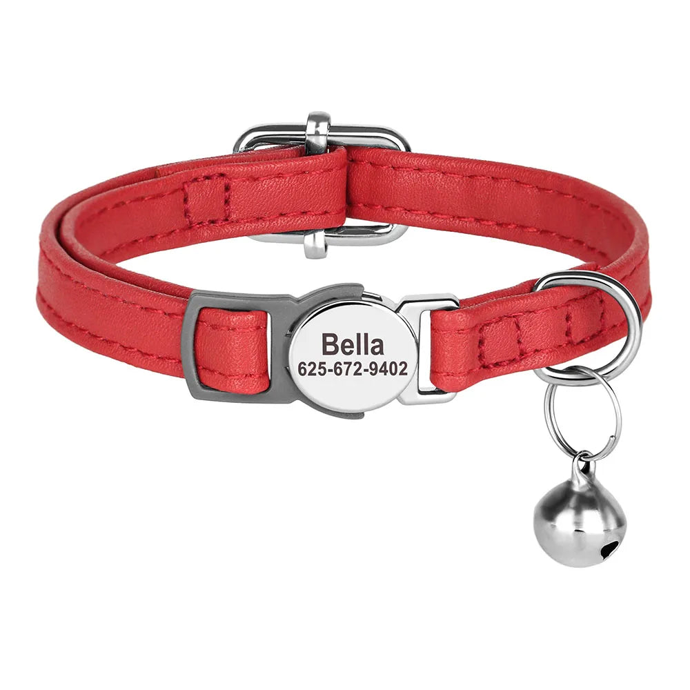 Free Personalized Kitten Collar Engraved With Name