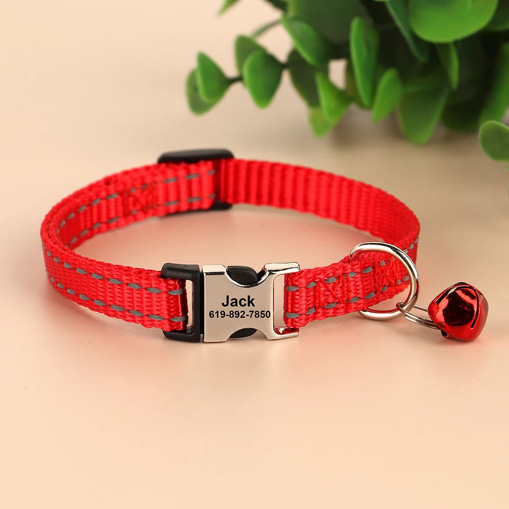 Free Personalized Kitten Collar Engraved With Name