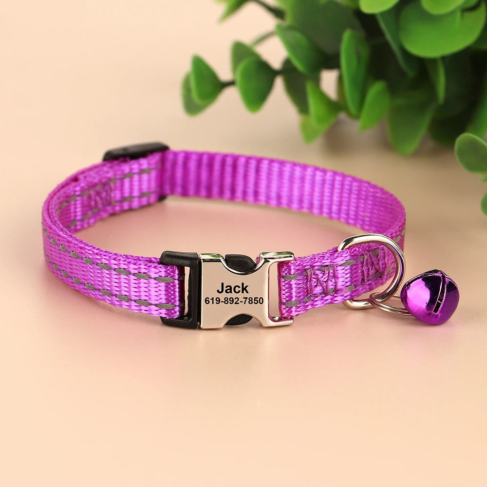 Free Personalized Kitten Collar Engraved With Name
