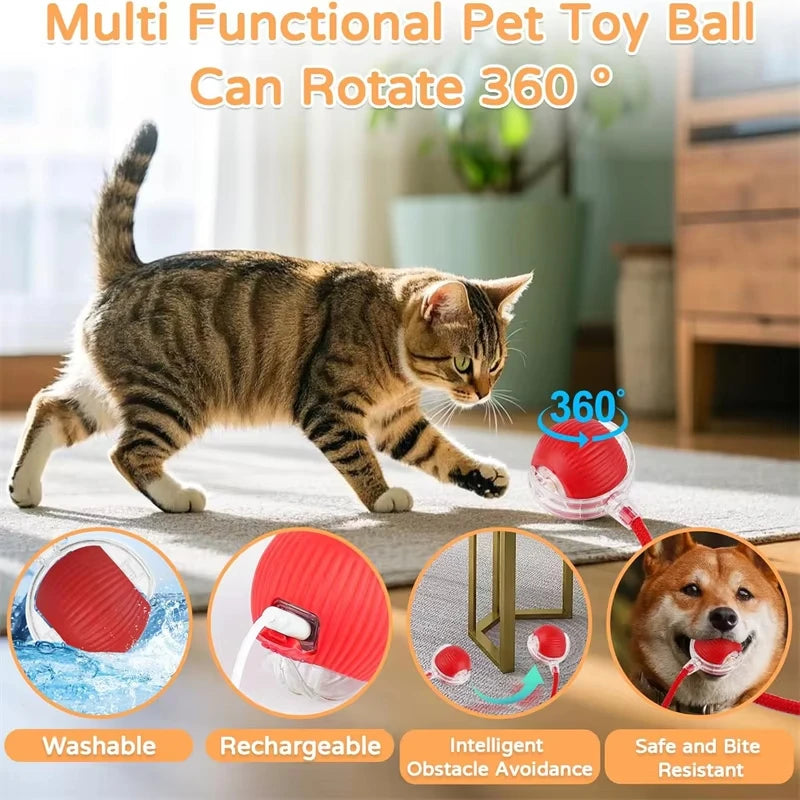 Cat Interactive Ball Toy Automatic Rolling Ball Pet Training Device