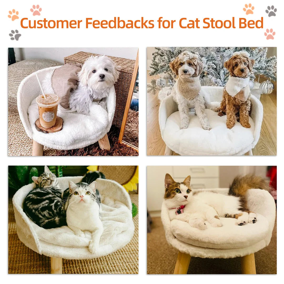 BINGOPAW Luxury Plush Cat Bed With Wood Leg Frame Washable