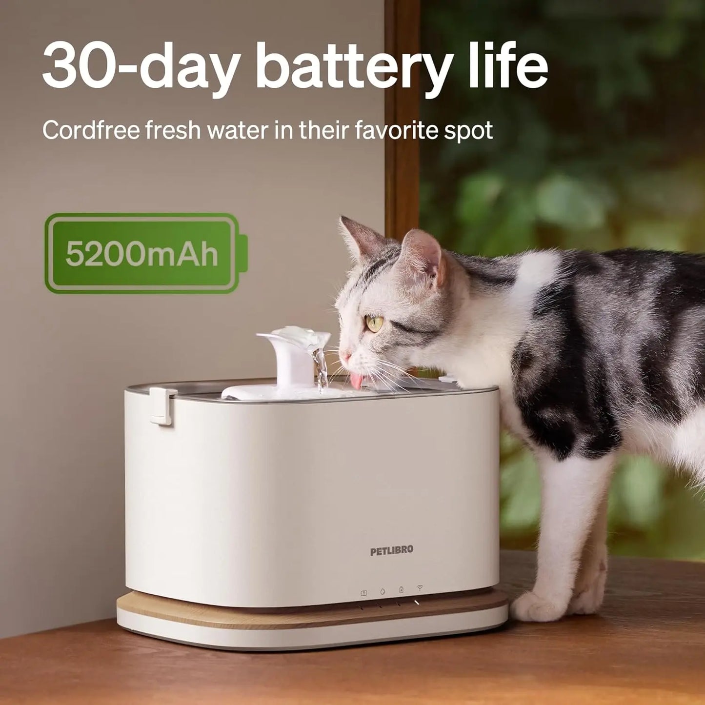 Wireless Cat Water Fountain With App Monitoring And WiFi