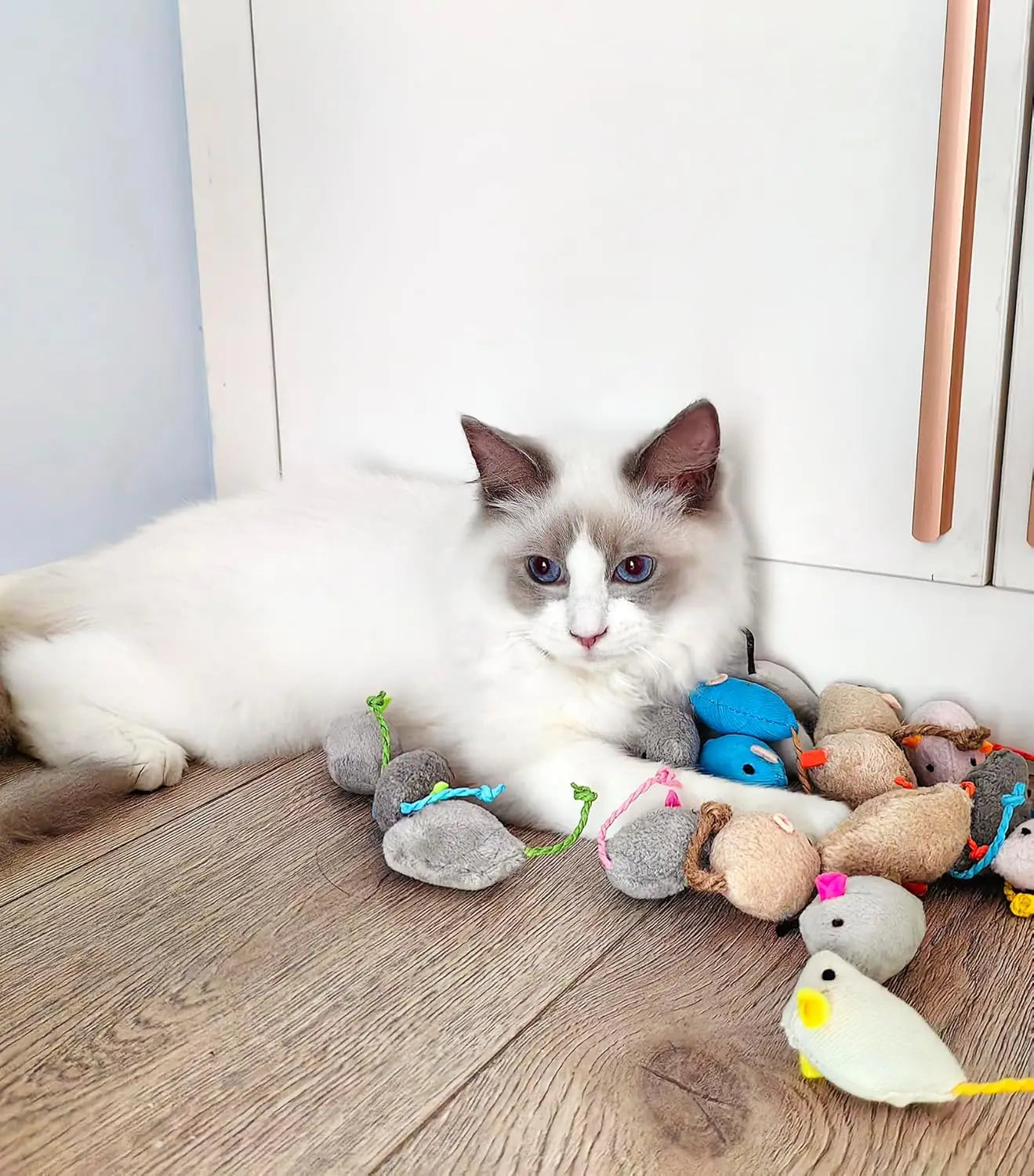 Rattle Cat Mouse Toys With Catnip For Indoor Cats Playtime