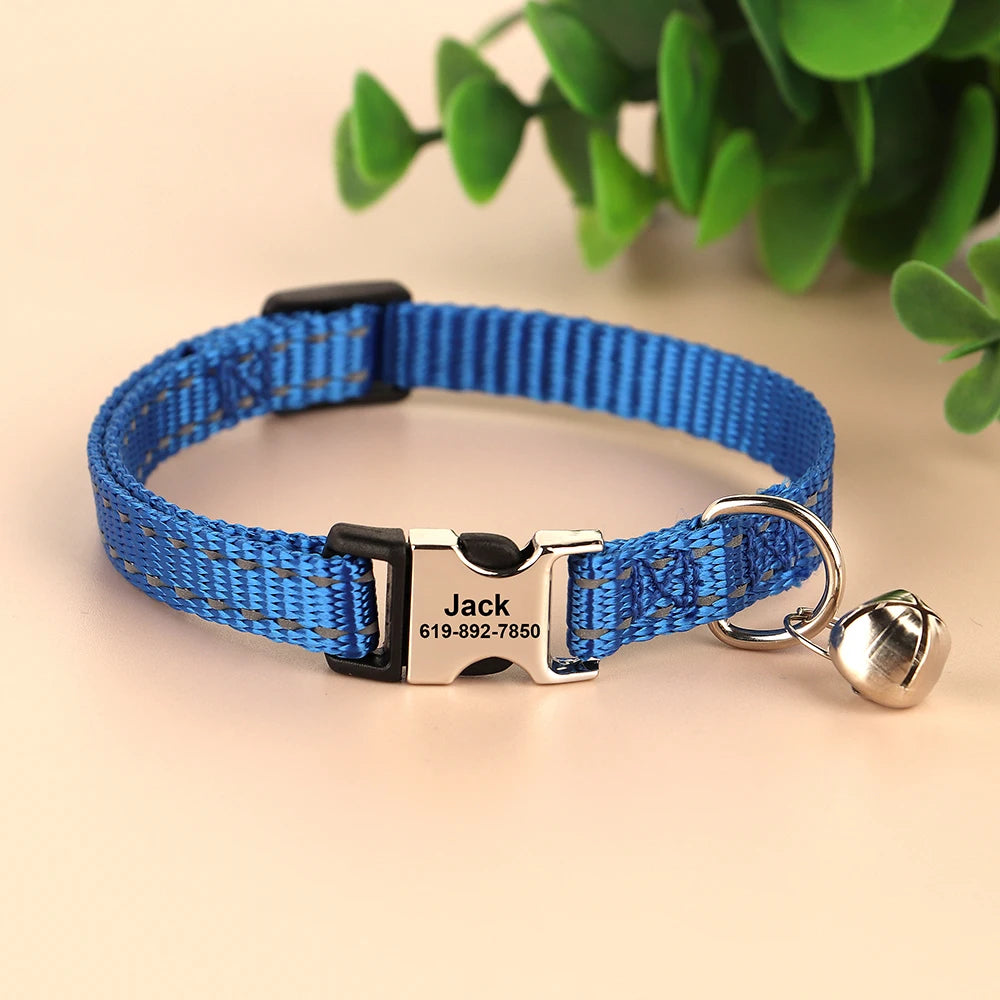 Free Personalized Kitten Collar Engraved With Name