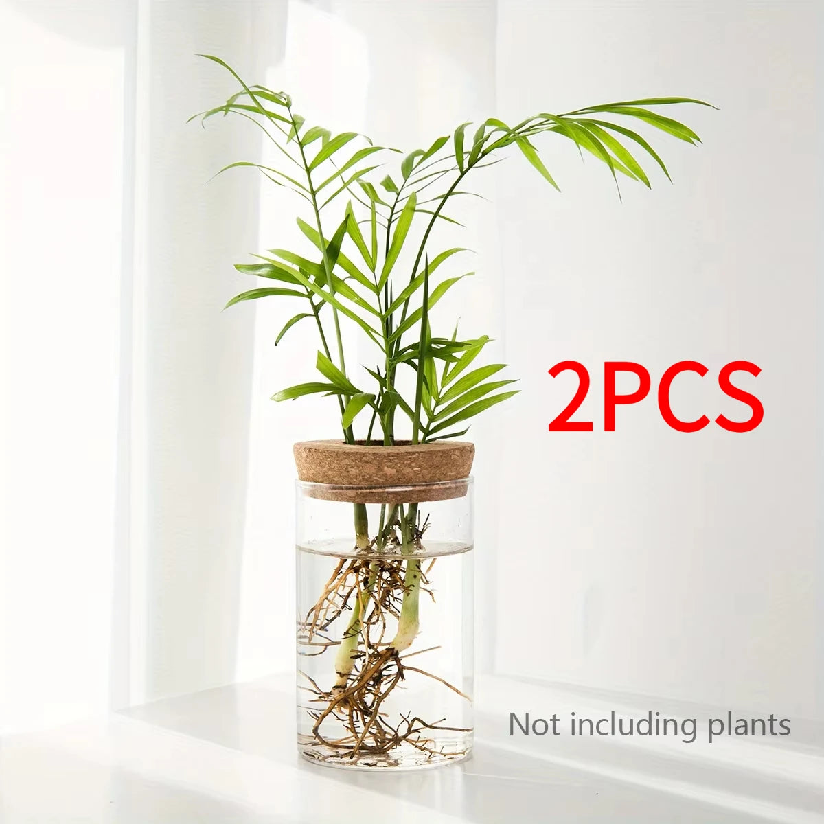 Glass Hydroponics Planter Vase For Home Decoration And Propagation