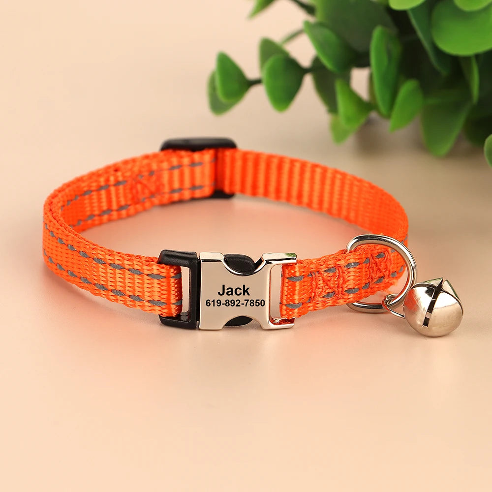 Free Personalized Kitten Collar Engraved With Name