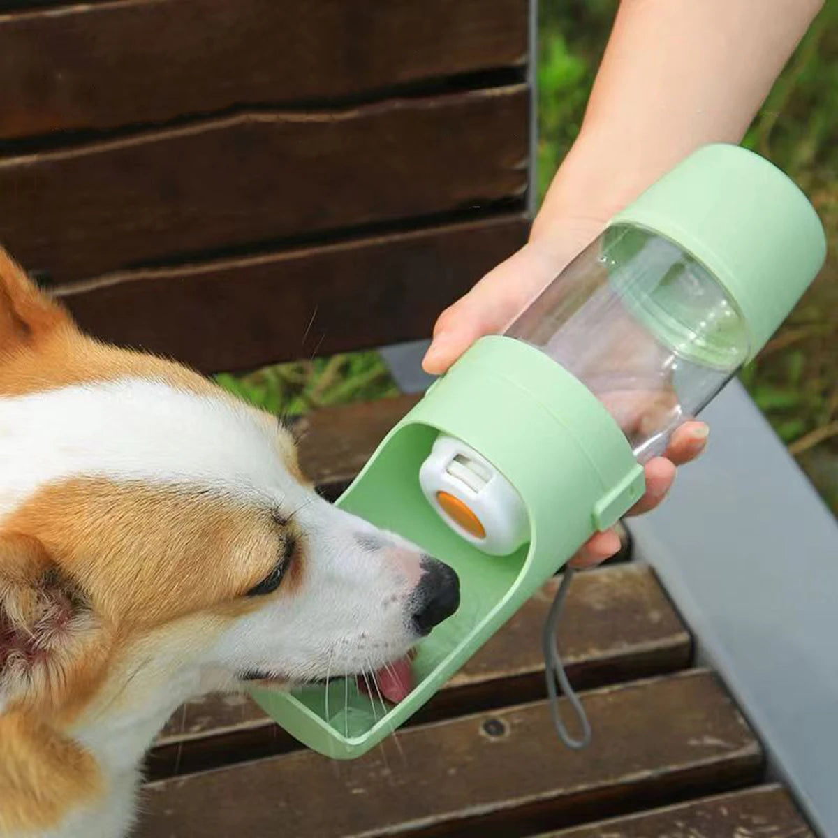 Portable Pet Water Bottle With Food Storage For Pets
