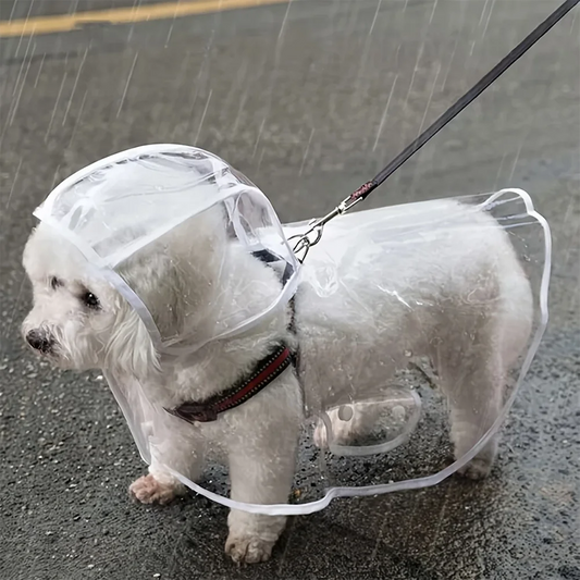 Transparent Waterproof Dog Raincoat For Small And Medium Dogs