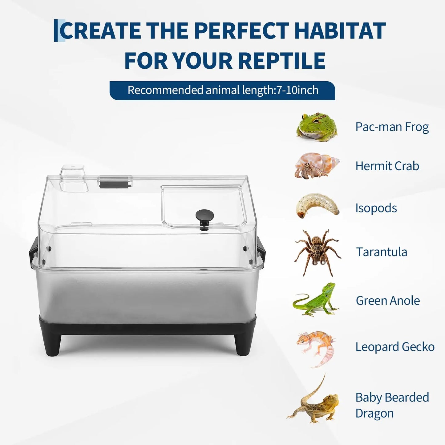 HiMISS Reptile Terrarium Kit With Lid Acrylic Tank
