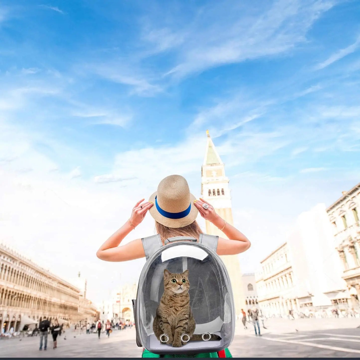 Henkelion Bubble Carrying Bag For Small Pets Airline Carrier