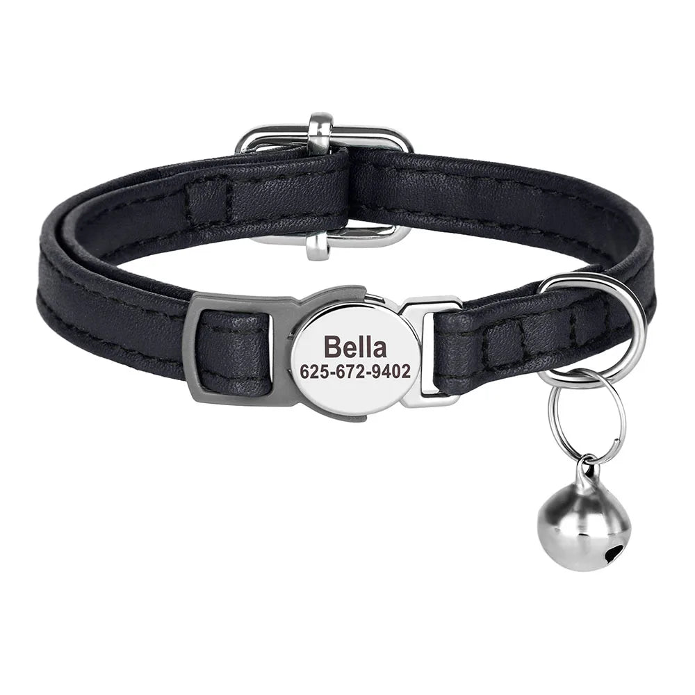 Free Personalized Kitten Collar Engraved With Name