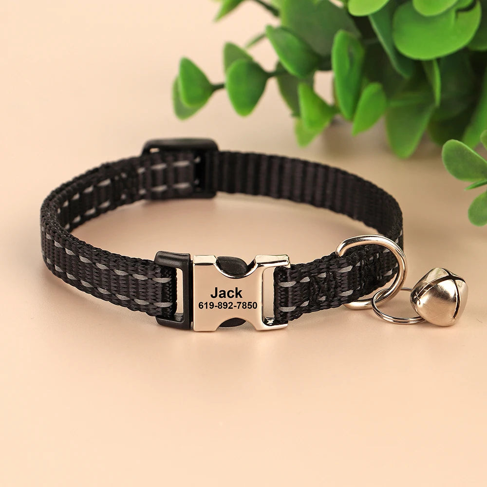 Free Personalized Kitten Collar Engraved With Name