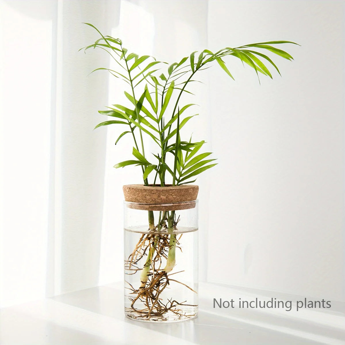 Glass Hydroponics Planter Vase For Home Decoration And Propagation