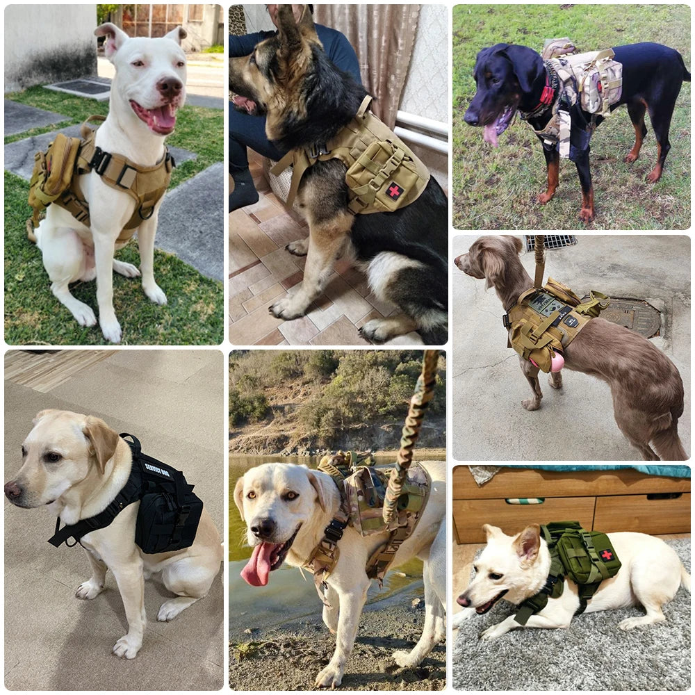 Tactical Dog Harness Leash Set For Training And Walking