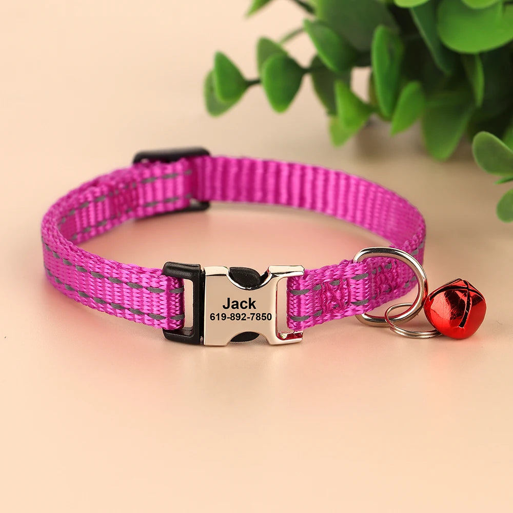 Free Personalized Kitten Collar Engraved With Name