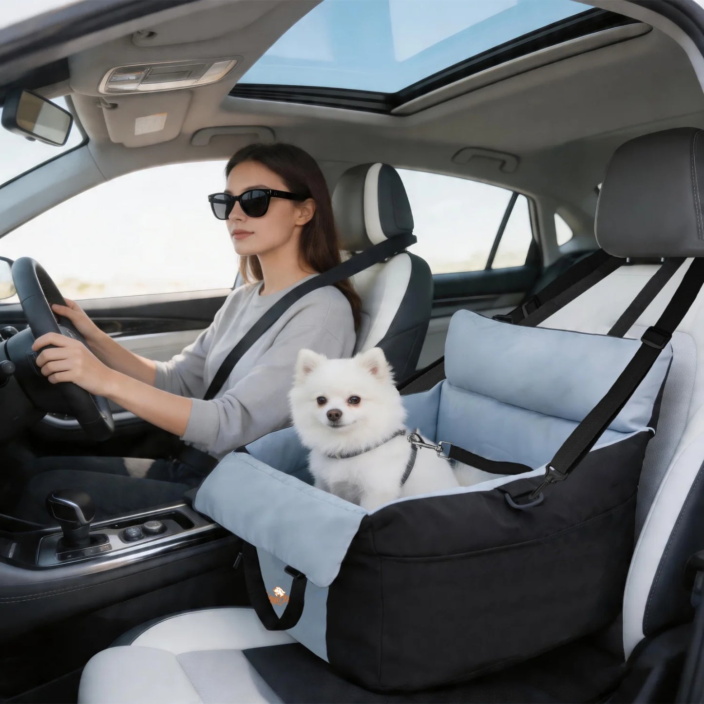 BINGOPAW Dog Car Seat Booster Carrier With Safety Belt