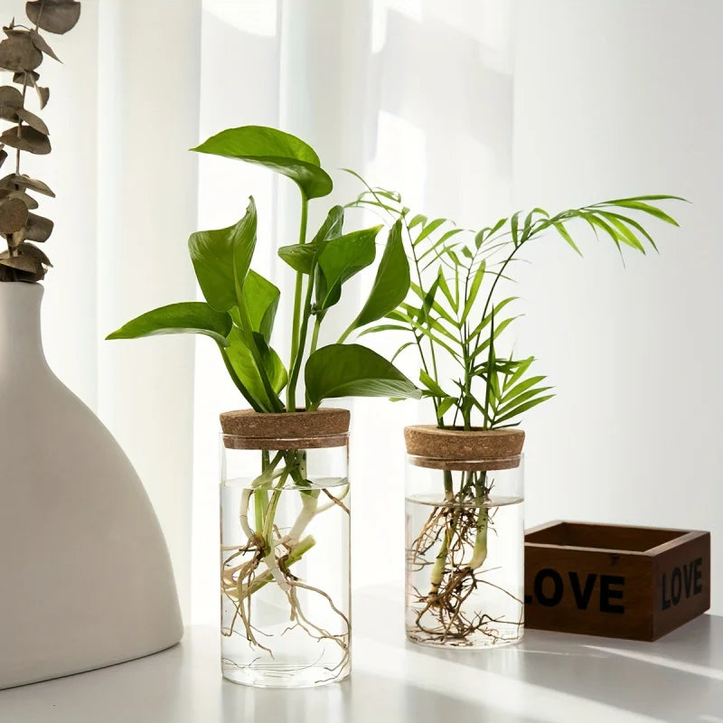 Glass Hydroponics Planter Vase For Home Decoration And Propagation