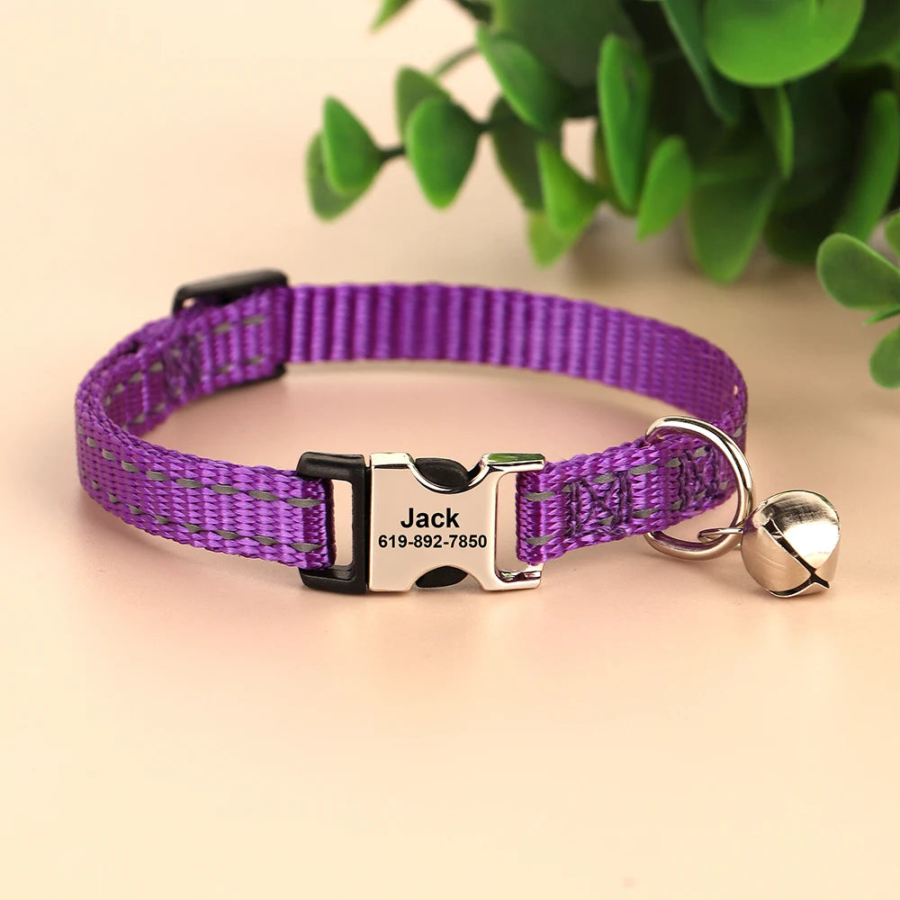 Free Personalized Kitten Collar Engraved With Name