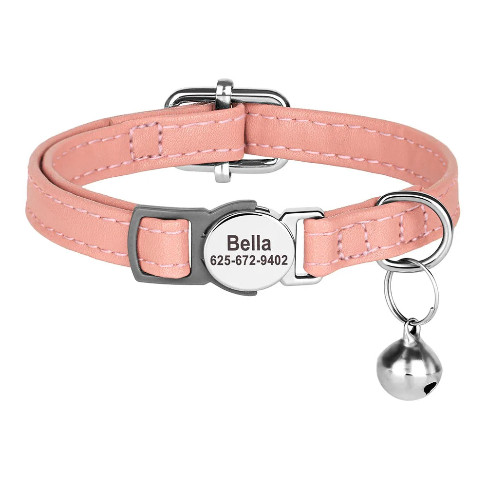 Free Personalized Kitten Collar Engraved With Name